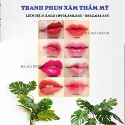 Tranh phun xăm thẩm mỹ PX01