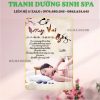 Tranh spa dưỡng sinh DS01