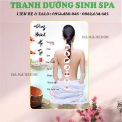 Tranh spa dưỡng sinh DS02