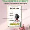 Tranh spa dưỡng sinh DS03