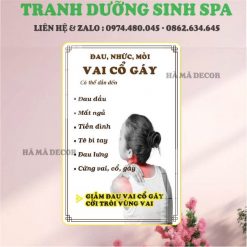 Tranh spa dưỡng sinh DS03