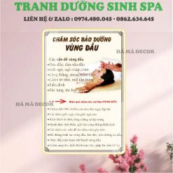 Tranh spa dưỡng sinh DS04